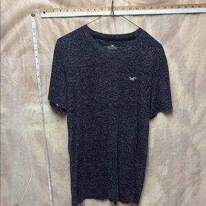 Hollister Gray Short Sleeve Tee Classic Crew
